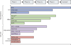 The main use of bcg is for vaccination against tuberculosis.bcg vaccine can be administered after birth intradermally. The Status Of Tuberculosis Vaccine Development The Lancet Infectious Diseases