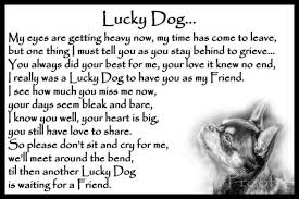 Chihuahua Dog Memorial Fridge Magnet Pet Loss Bereavement Gift Etsy Pet Quotes Cat Losing A Pet Quotes Cat Quotes