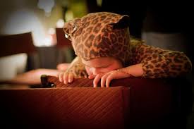 Résultat de recherche d'images pour "ubuntu lucid lynx wallpapers"