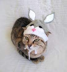 Bunny Hat For Cat Easter Bunny Pet Costume Spring Kitten Photo Prop Easter Kitty Outfit Bunny Ears Pet Hat Hats For Cats Pet Costumes Kitten Photos Pet Halloween Costumes