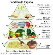 Image result for Nutrition Guidelines
