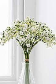Cereals dry rice crackers, tinned food, ingredients for baking, noodles and pasta. 17 Best Artificial Flowers 2021 To Decorate Your Home Glamour Uk