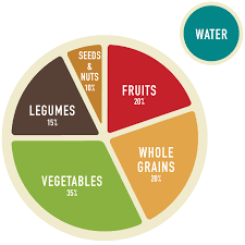 Plant Based Meal Planning Guide Part 1 Veggie Primer
