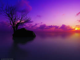 Maybe you would like to learn more about one of these? Descarca Imagini De Fundal Peisaje NaturÄƒ Cer Apus De Soare Imagini De Fundal Gratuite Pentru Rezoluia Desktop 1600x12 Sunset Wallpaper Sunset Purple Sunset