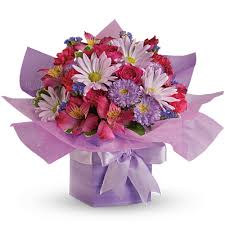 We did not find results for: Wedding Flowers 50th Wedding Anniversary Flower Is Violet