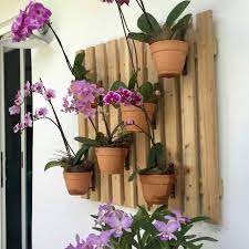 Livingwall Of Orchids With Cedar Plank Backdrop Wall Plant Hanger Flower Pot Hanger Hanging Flower Pots