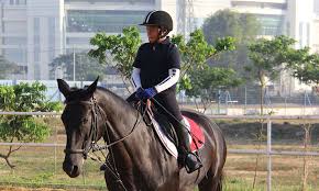 If you want to learn anak kuda in english, you will find the translation here, along with other translations from indonesian to english. Sekolah Berkuda Surabaya Pandesa Riding School