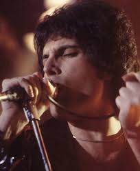 Я знаю, что там находится дом, в котором родился фредди меркьюри, только ради него хочу на занзибар. Merkyuri Freddi Persona Tass