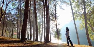 Right before you reached bukit kayu hitam, you pass by changlun. Melancong Ke Thailand Yuk Berburu Kabut Di Mae Hong Son Halaman All Kompas Com