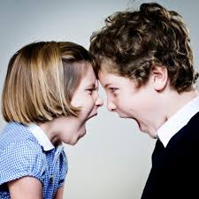 Mental Illness and the Family