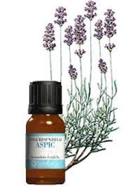 Debloquer Son Diaphragme Et Son Plexus Solaire Avec Un Massage D Huile Essentielle De Lavande Aspi Huiles Essentielles Huile Essentielle Lavande Plexus Solaire