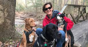 Pets and vets as partners. Veterinarian Wilson Nc Vets Pets