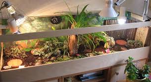 Http Www Happy Turtles De Terrarien Sabrina Jpg Schildkrotengehege Schildkroten Terrarium Landschildkroten