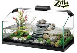 Maybe you would like to learn more about one of these? Why Reptile Kits Are A Useless Waste Of Money Reptifiles