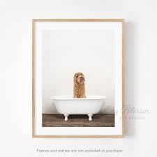 Labradoodle pictures are something we love to share! Golden Labradoodle Dog In A Vintage Bathtub Bathroom Art Etsy