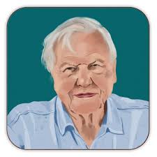 Artist Sarah Wilkinson