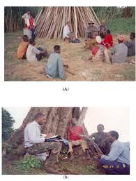 Image result for Oncinotis tenuiloba