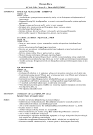 sql programmer resume samples velvet jobs