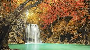 Beautiful waterfall river photo wallpaper 4k 3840×2160. Hd Wallpaper Autumn Forest Waterfall Windows 10 Hd Wallpaper Waterfalls In Forest Wallpaper Wallpaper Flare