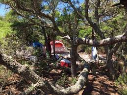 6 T H Stone Memorial St Joseph Peninsula State Park California Beach Camping Beach Camping Camping Destinations
