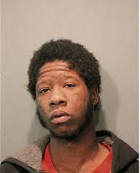 ᐅ Illinois Criminal Records 2009-2025