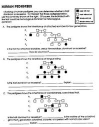 Human pedigree genetics worksheet answers genetics pedigree worksheet answer key huntingtons disease to pin. Tonya Digia Digia2989 Profile Pinterest