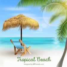 Tropical Beach Background With Palms In Realistic Style Vector Free Vector Graphics