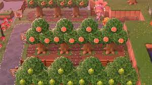 15 Acnh Orchard Designs Ideas Inspiration To Try Fandomspot In 2021 Animal Crossing Orchard Design Garden Animals