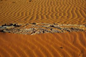 The ship of the desert. Kyzyl Kum Photos Uzbekistan Photographs Of A Central Asian Desert