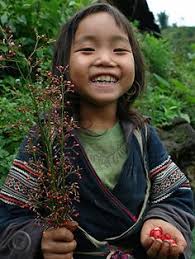 Of these, around 2 million spoke a dialect of the hmong language. 35 Hmong People Ideas Hmong People Hmong People