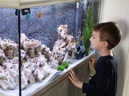Aquarium sepatu pernah dibuat di jepang oleh w+k tokyo lab dalam project the nike 78. Cara Membuat Aquarium Unik Agar Sudut Ruangan Menjadi Lebih Hidup Lifestyle Liputan6 Com