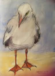 Check spelling or type a new query. Seagull Study Drawing By Tony Northover