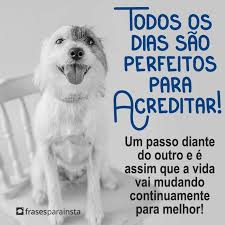 (score from 2052 one of our top picks in elvas. Todos Os Dias Sao Perfeitos Para Acreditar Frases Para Instagram