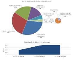 Budget And Financial Information