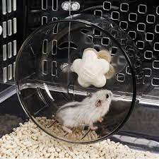 If you need more control over the jpeg compression quality please use thumbnails to activate the manual mode. Hamster Picture 835 1000 Jpg Hamster Picture 835 1000 Jpg Hamster King By Mikkynga 101 Mln Prosmotrov 2 Mesyaca Nazad Simersons