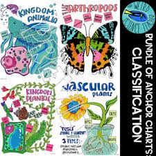 Bundle Scaffolded Note Anchor Chart Science Classification Of Living Things