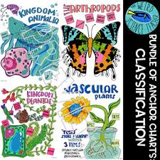 bundle scaffolded note anchor chart science classification of living things