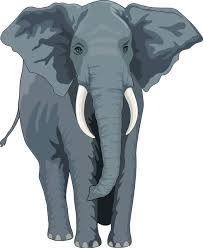 Free Free 255 Elephant Footprint Svg SVG PNG EPS DXF File