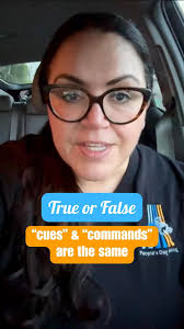 True or false..., 💬 “The terms obedience cues and obedience commands are  mean the same thing.”, 😯 The answer may surprise you., 📸 Military Dog  Photo: UK Ministry of Information, c. 1940, Public ...