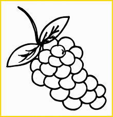 Mewarnai buah pisang tanpa gradasi warna lebih mudah melakukannya. 100 Sketsa Buah Buahan Terbaik Paling Mudah Digambar Sindunesia
