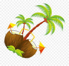 Coconut tree illustrations and clipart (26,011). Coconut Tree Illustration Tropical Drinks Shower Curtain Cartoon Animated Coconut Tree Png Free Transparent Png Images Pngaaa Com