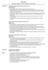 Description the financial consultant job description includes elements such as: Business Development Consultant Resume Samples Velvet Jobs