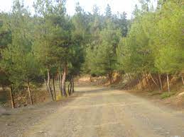 Διάβασε την περίληψη & τις κριτικές μελών για το βιβλίο «σέιχ σου: Gia Na Gnwrisoyme Kalytera To Seix Soy Epitroph Prostasias Seix Soy