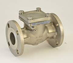 Chicago Valve Series 416, 3/4" 316 Stainless Steel Swing ...