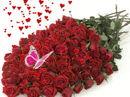 Mazzo di 24 rose rosse e bianche. Pin By Marina Corvascio On Love Romance Love Flowers Red Roses 100 Roses