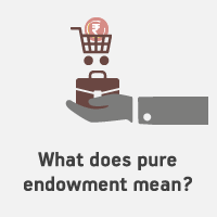 Maybe you would like to learn more about one of these? What Does Pure Endowment Mean Abc Of Money