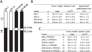 1/2010) 2010 pwd form 203a for malaysian government project / public engineering work. Genomic Structure Of Hstx2 Modifier Of Prdm9 Dependent Hybrid Male Sterility In Mice Biorxiv