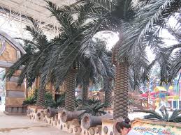 The jasmine is happiest in a sunny, but cool place. Cheap Prices Uk Outdoor Large Realistic Faux Phoenix Dactylifera Plants Artificial Date Palm Trees Tops Buy Artificial Date Palm Tree Outdoor Large Realistic Faux Plants Artificial Palm Trees Uk Artificial Palm Tree Tops