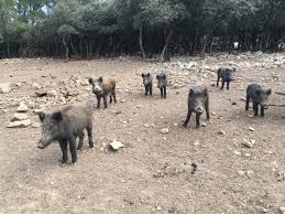 Comment tu peux faire ? Cvcs4kilua2lkm