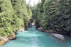 Forests and wetlands help to prevent or reduce costly climate change andflooding impacts, manages drought, contributes to tourism, fisheries, forestry, agriculture and mining industries. Data Gaps Prevent Assessment Of Most Canadian Watersheds Wwf Report Victoria News